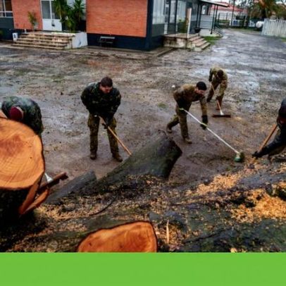 Um terço dos municípios ainda não cumpre a Lei de Bases do Clima