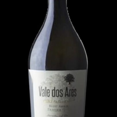 Vale dos Ares: Vinha da Coutada 2021 em análise