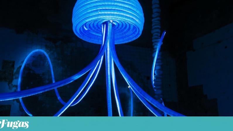 No Mar Motto, a arte “não é refúgio, é ferramenta"