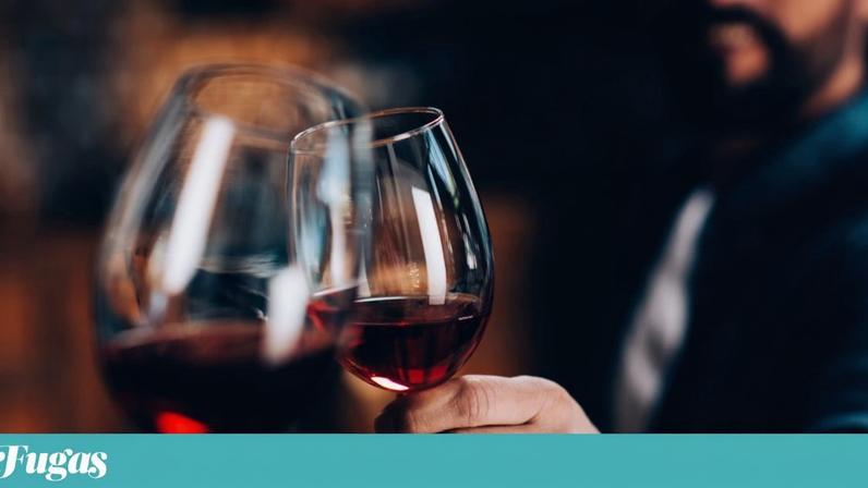 Fusão de vinhos ibéricos prova Douro e Castela e Leão no Porto