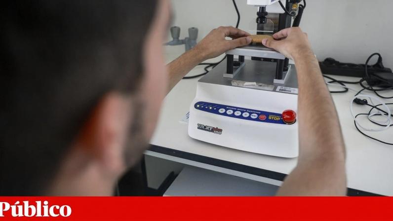 Politécnicos do Porto e de Leiria querem ser universidades o que, acreditam, lhes permitirá ter maior projecção internacional e captar mais estudantes