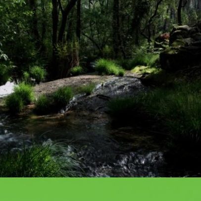 Rio Leça: esforços para salvar o corpo de água da nascente à foz