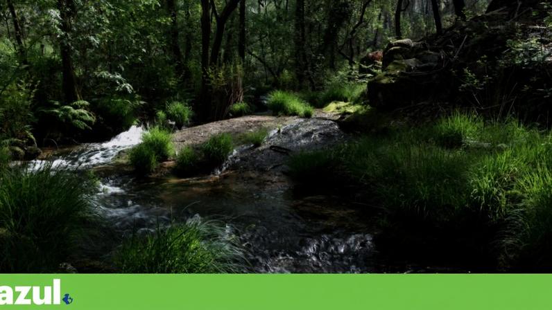 Rio Leça: da nascente, em Santo Tirso, até à foz, em Matosinhos