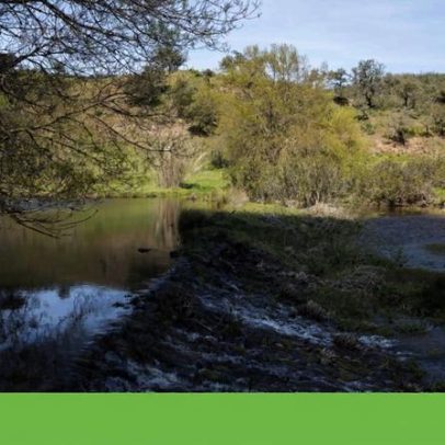 Vascão, maior rio sem barragens de Portugal, terá santuário do saramugo