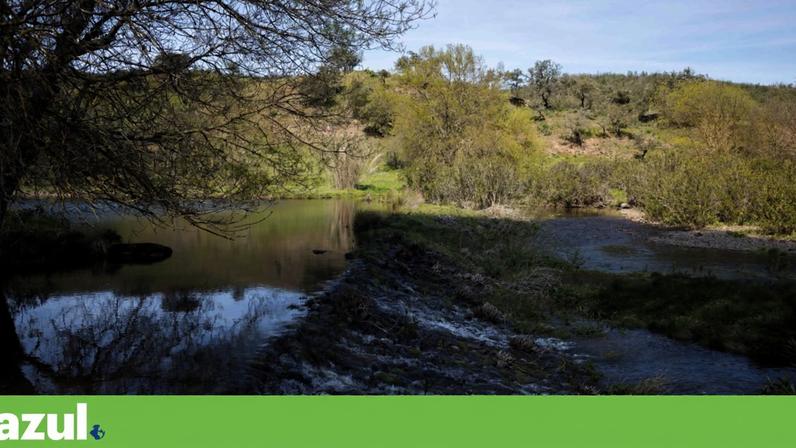 Vascão, maior rio sem barragens de Portugal, terá santuário do saramugo