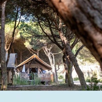 Natureza sem pressa: pausa revigorante a uma hora de Lisboa