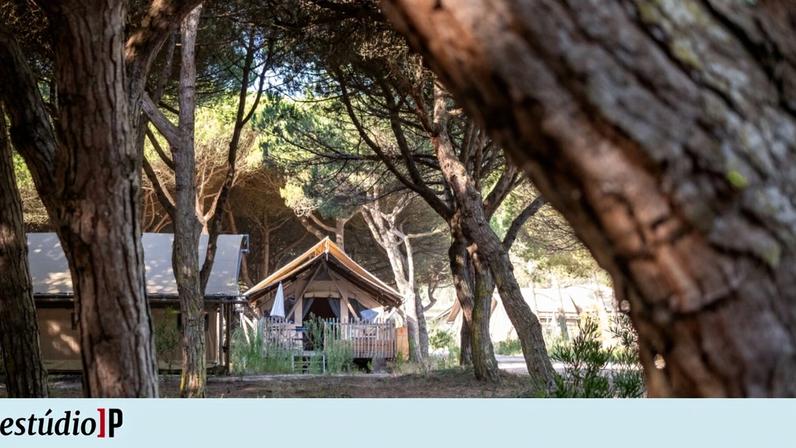 Natureza sem pressa: pausa revigorante a uma hora de Lisboa