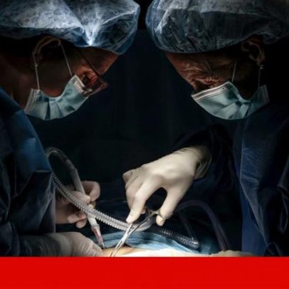 Terapia prepara o sistema imunitário para não rejeitar fígados transplantados