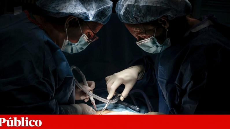 Terapia prepara o sistema imunitário para não rejeitar fígados transplantados