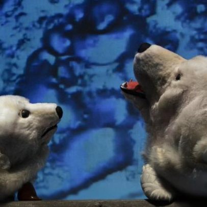 8 ideias para entreter a família com liberdade, ecologia e engenho