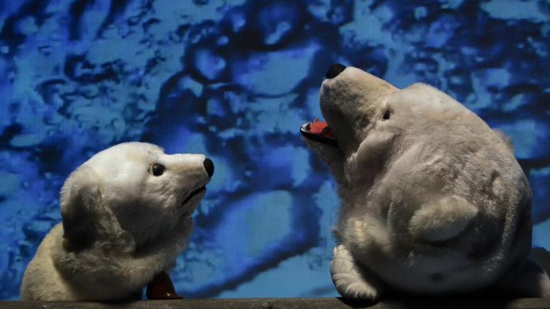 8 ideias para entreter a família com liberdade, ecologia e engenho