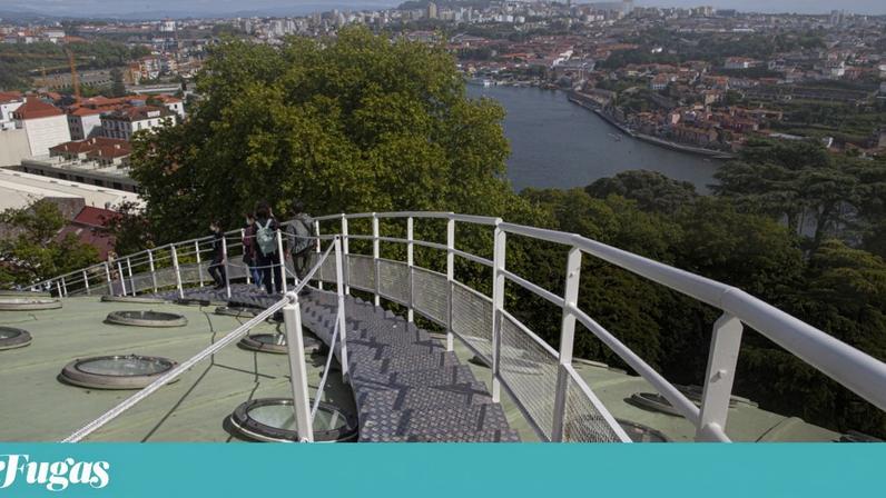 Segunda-feira é dia de ver as vistas e sentir a liberdade