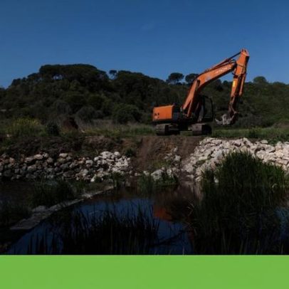 Plano de restauro de rios em consulta pública aumenta ambição, sem orçamento