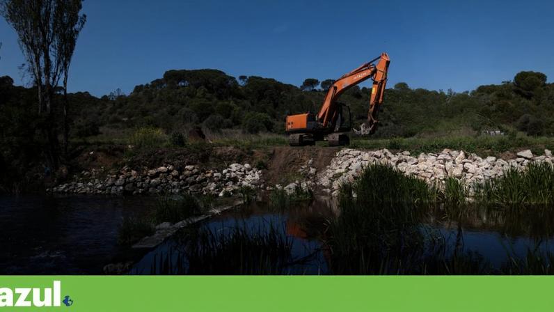 Plano de restauro de rios em consulta pública aumenta ambição, sem orçamento