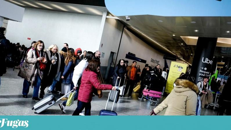 A associação apela a "uma resposta urgente, coordenada e eficaz"