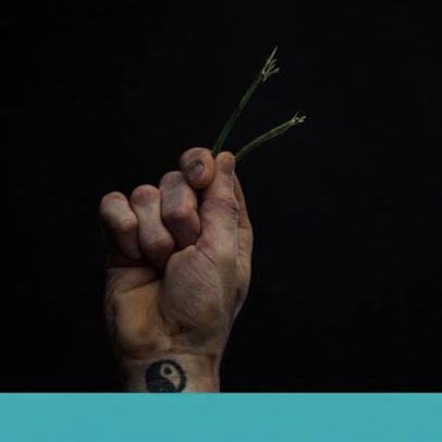 Onde vai estar neste 25 de Abril? Ideias para celebrar a liberdade