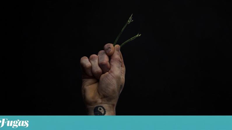 Onde vai estar neste 25 de Abril? Ideias para celebrar a liberdade