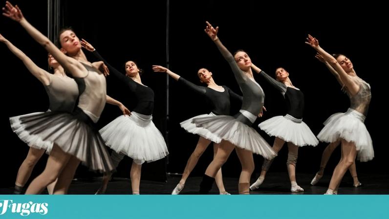 A Companhia Nacional de Bailado volta a dançar *O Lago dos Cisnes*