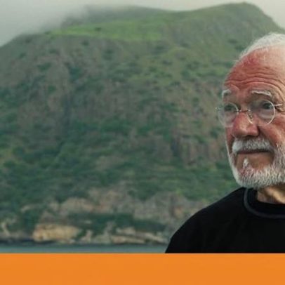 Críticas ao Chão Verde de Pássaros Escritos por mau serviço a Luandino Vieira