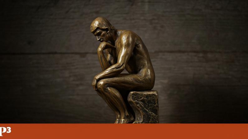 Frase sobre pensamento independente gera debate público