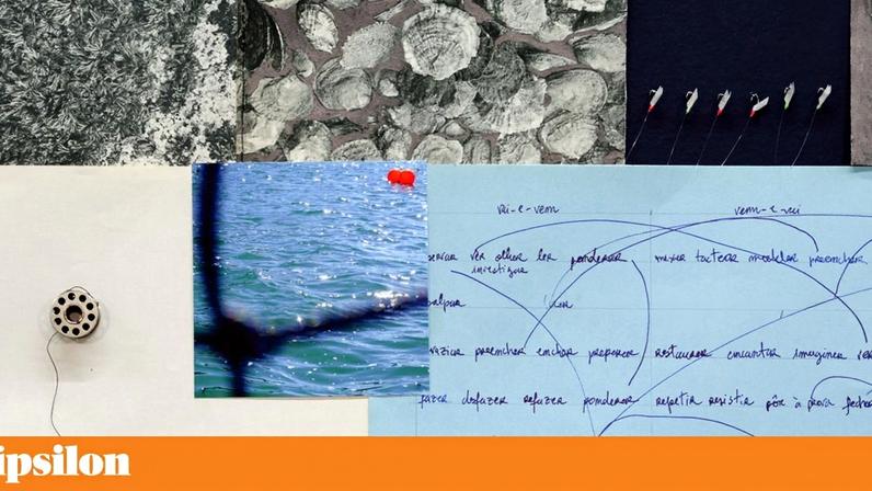 A obra visual de Cristina Robalo é um universo em expansão