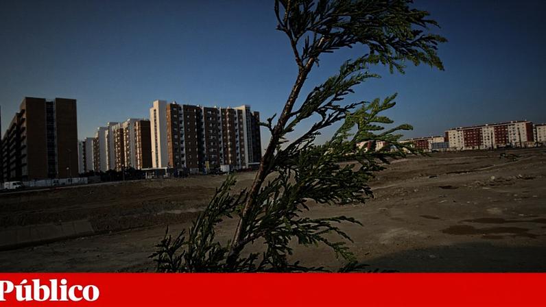 Alta de Lisboa avança em lotes municipais cedidos à família de Stanley Ho