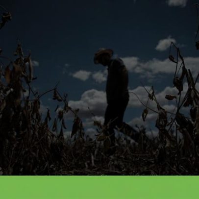 Ondas de calor ameaçam sistemas alimentares, alerta ONU