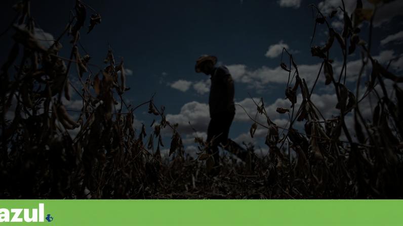 Ondas de calor ameaçam sistemas alimentares, alerta ONU