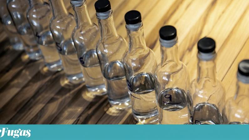 O Parlamento ouviu esta quarta-feira opiniões distintas sobre o uso exclusivo de aguardente regional no vinho do Porto e no moscatel do Douro