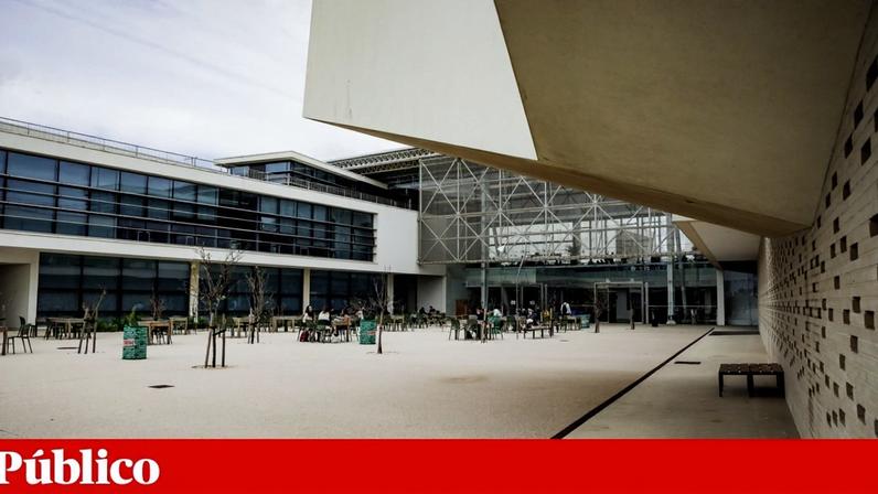 Eleições para reitor da Universidade Nova adiadas por decisão judicial