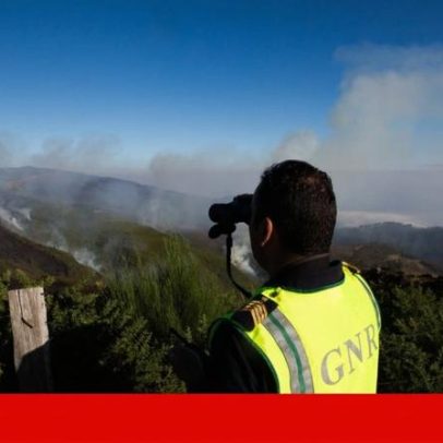 GNR detém 59 pessoas por fogo este ano, maioria por negligência