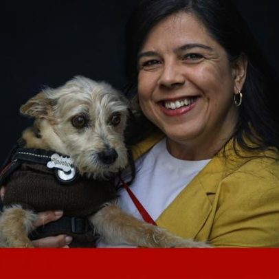 PAN volta a pedir redução do IVA na alimentação e consultas veterinárias