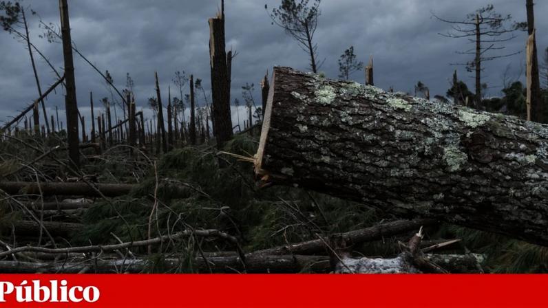Tempestade Kristin provocou estragos na zona Centro do país no início de 2026