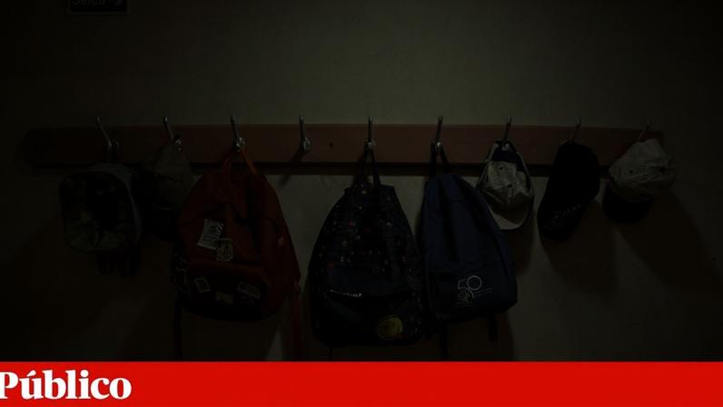 Aumento de denúncias de violência em 2025, incluindo maus-tratos e abuso