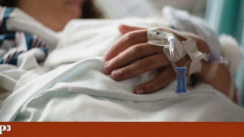 Uso de nomes dos pais em registos: estudo analisa práticas e impactos