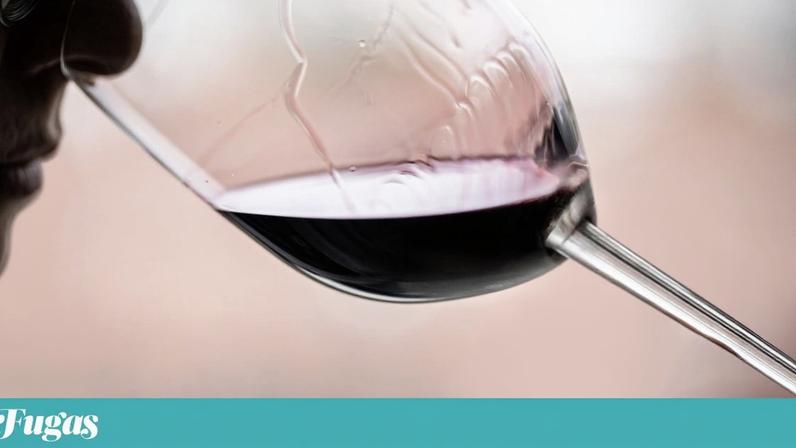 A maioria das casas de vinho do Porto já declarou 2024 um ano vintage