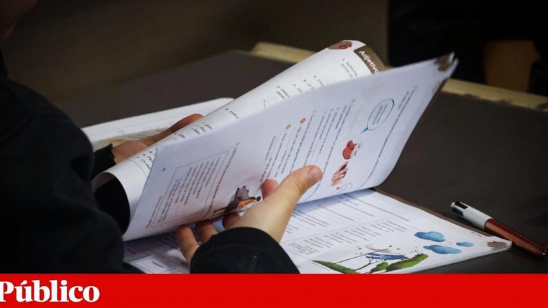 Mais de 2000 contributos na consulta pública às Aprendizagens Essenciais