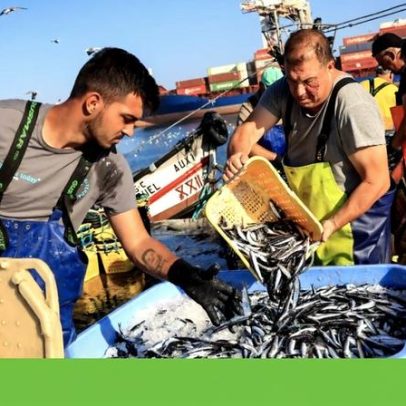 Avaliação da UE aponta que a Política Comum das Pescas ficou aquém dos objetivos