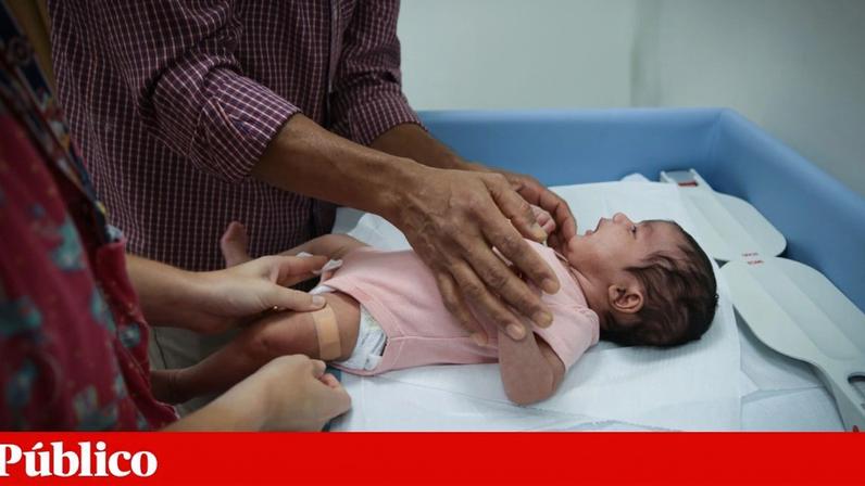 Metade dos bebés de 2025 na Grande Lisboa são filhos de mães estrangeiras