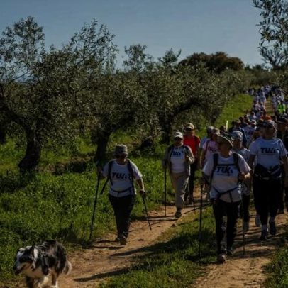 Agenda de maio: programas de norte a sul do país