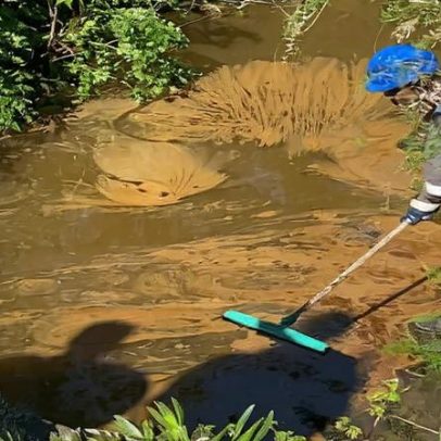 Descargas nas ribeiras provocam odor nauseabundo em Matosinhos