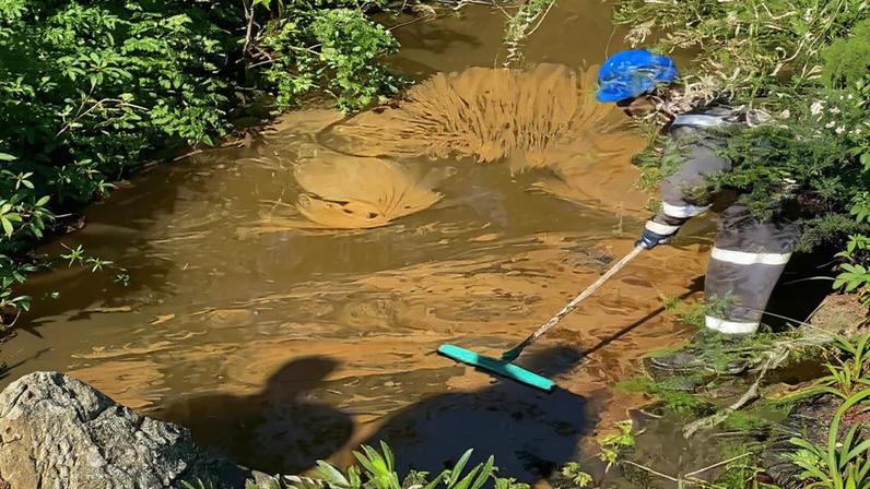 Descargas nas ribeiras provocam odor nauseabundo em Matosinhos