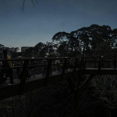 Solo em destaque na nova edição do BioBlitz Serralves