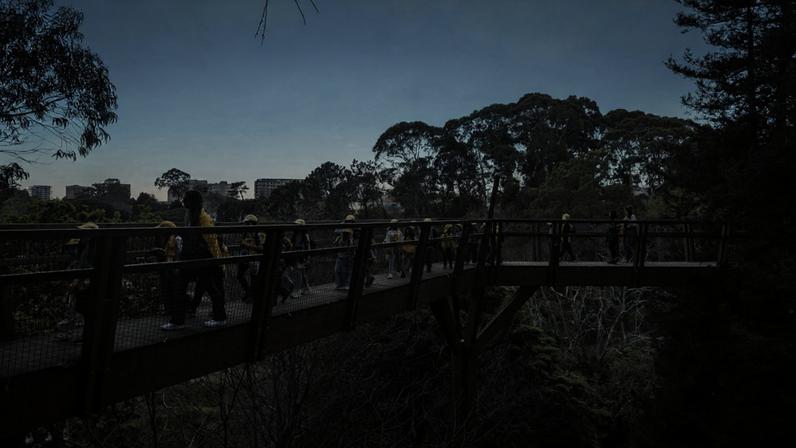 Solo em destaque na nova edição do BioBlitz Serralves