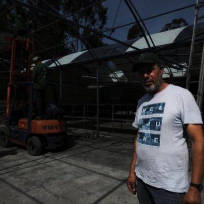 Vizinhos ajudam a reconstruir horto destruído pelo fogo em Vila do Conde
