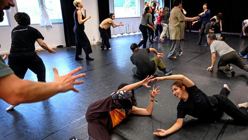 Grupo de meia centena fecha Siloauto no Porto com danças árabes