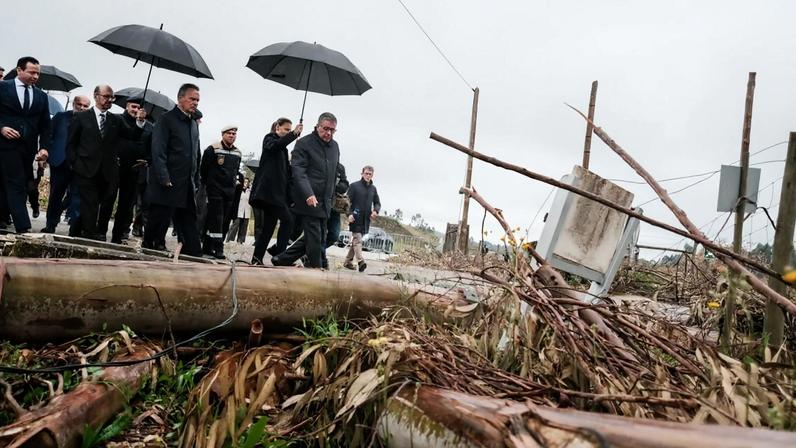 Seguro defende limpeza de florestas para evitar catástrofes neste verão