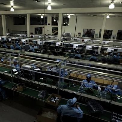Emprego em Portugal e 8 países da OCDE em máximos no fim de 2025