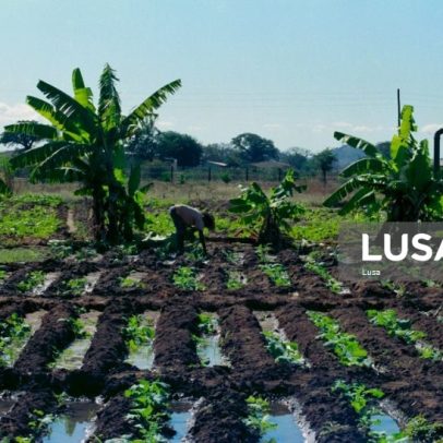 Moçambique financia irrigação para 184 agricultores com 136,6 mil euros