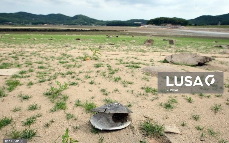 Coreia do Norte enfrenta grave seca em grande parte do território